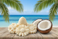 Coconut Cream Dream